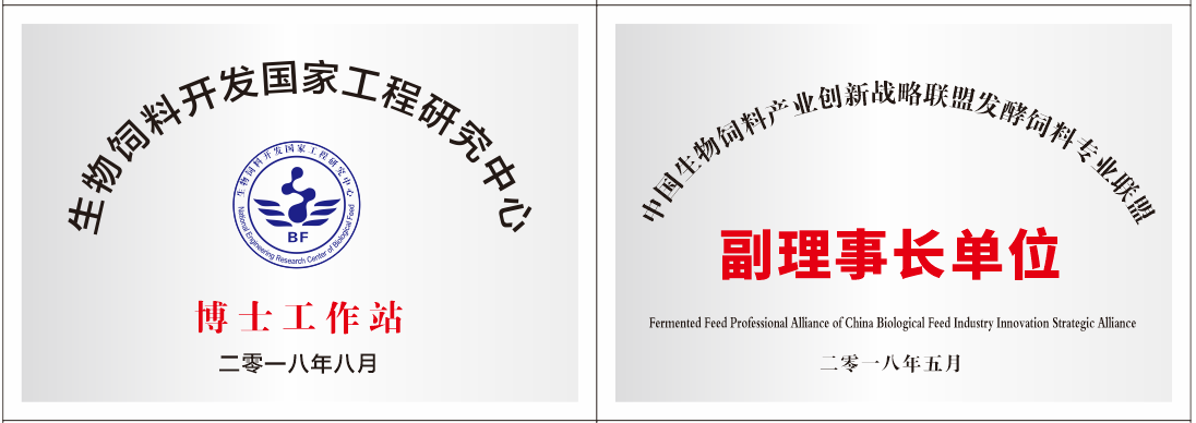 資質榮譽 