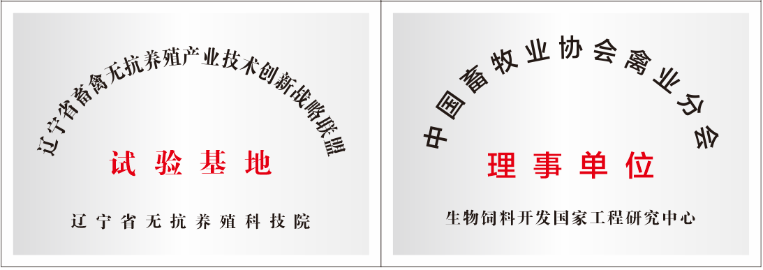 資質榮譽 