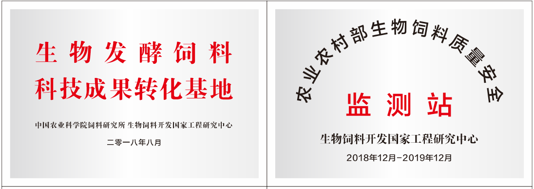 資質榮譽 