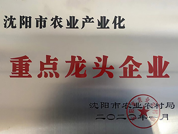 資質榮譽 