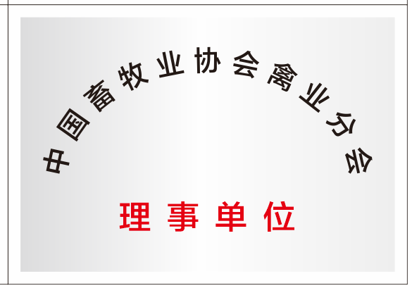 資質榮譽 